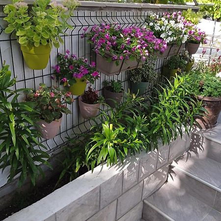 Apartment Iva Trebinje Bagian luar foto